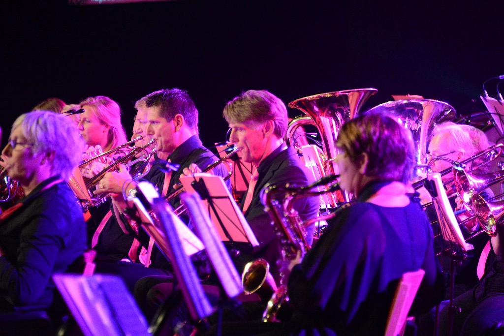 ../Images/Jubileumconcert 100 jaar Harpe Davids 243.jpg